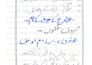 do professional handwriting and assignment writing work